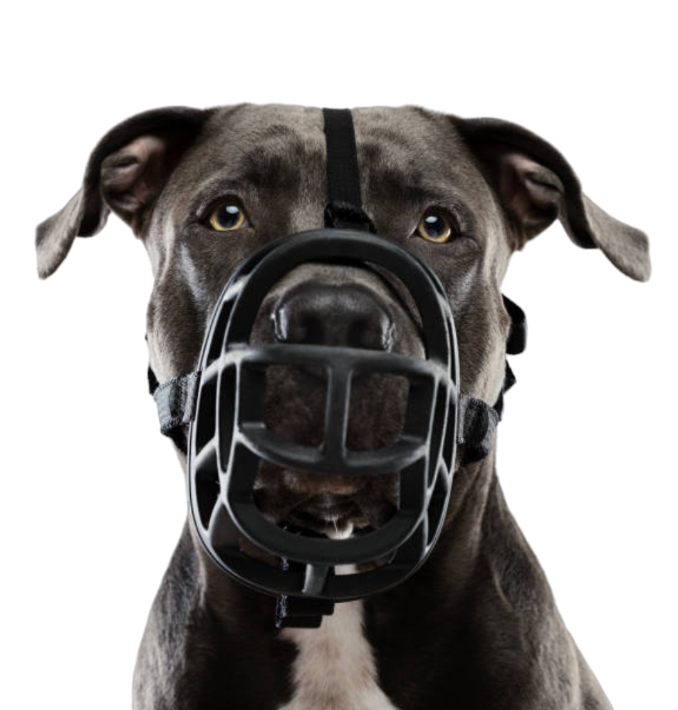 Classic Basket Dog Muzzle - Small