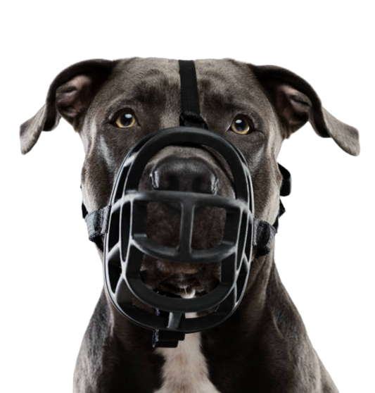 Classic Basket Dog Muzzle - Small