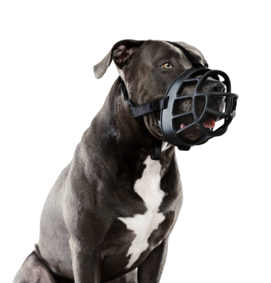 Classic Basket Dog Muzzle – Medium